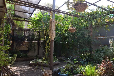 Garden, Garden, Garden view