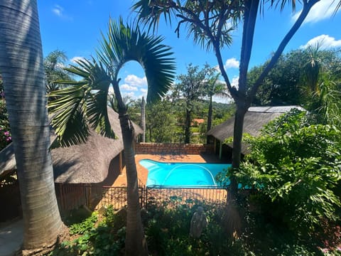 Garden, Garden view, Swimming pool