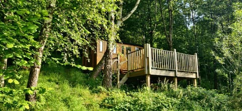 Property building, Spring, Day, Natural landscape, Garden