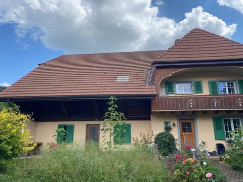 Property building, Garden, Garden view
