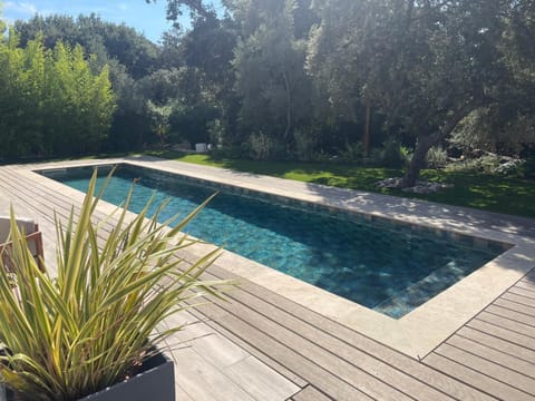 Garden, Swimming pool