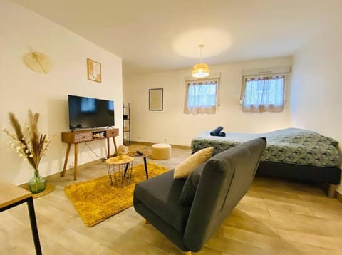 Appartement Centre-Ville - 3 Voyageurs Apartment in Le Mans