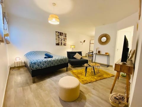 Appartement Centre-Ville - 3 Voyageurs Apartment in Le Mans