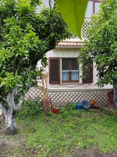 Property building, Garden, Garden view