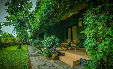 Patio, Day, Garden, On site, Garden view