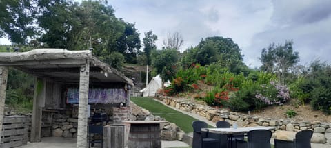 Day, Garden, Garden view