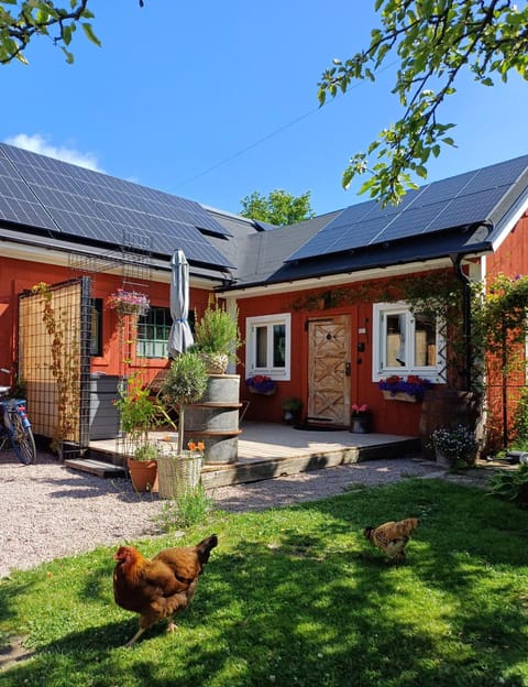 Property building, Garden view
