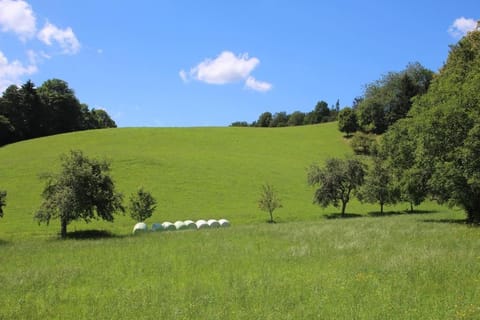 Natural landscape