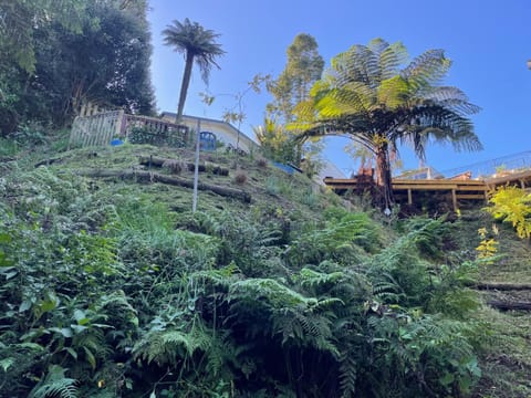 Gully Retreat Bed and Breakfast in Hamilton