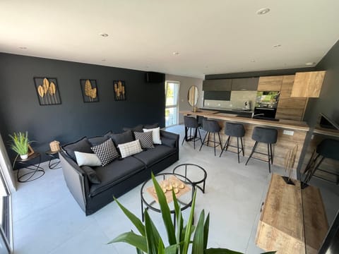 Kitchen or kitchenette, Living room, Dining area, stove