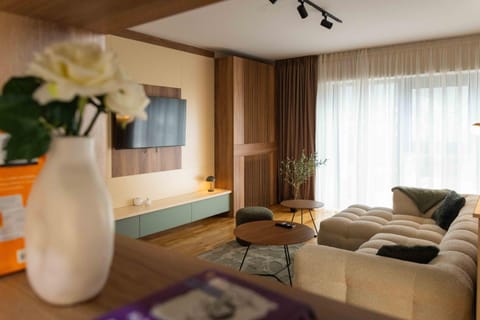 Living room, Photo of the whole room, Seating area
