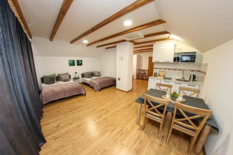 Bed, TV and multimedia, Kitchen or kitchenette, Living room, Photo of the whole room, Seating area, Dining area, Bedroom, minibar