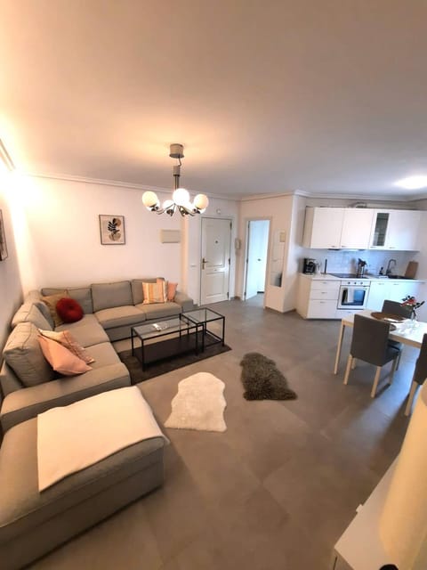 Living room, kitchen
