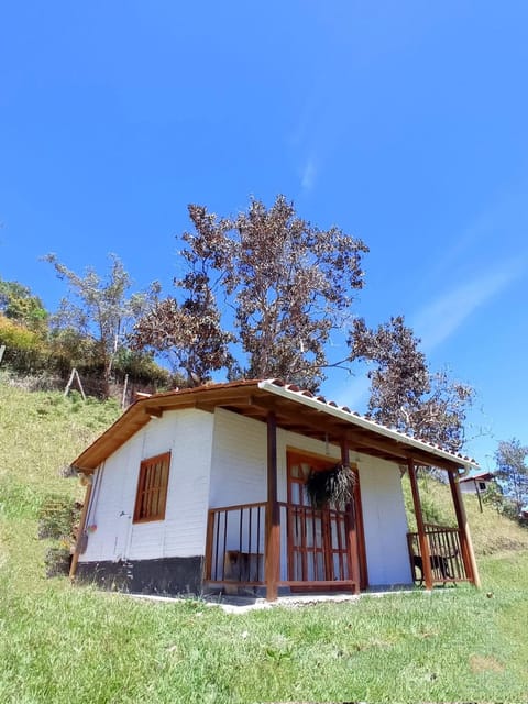 Property building, Day, Natural landscape, Garden