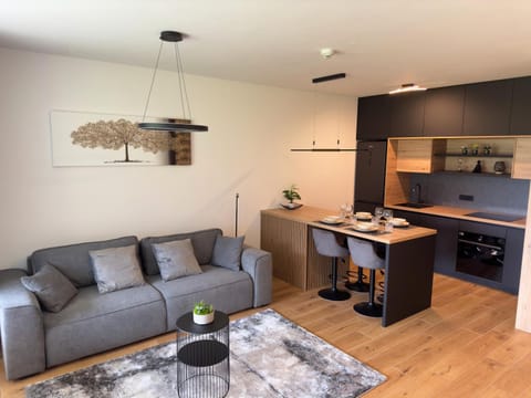 Kitchen or kitchenette, Living room, Dining area, stove