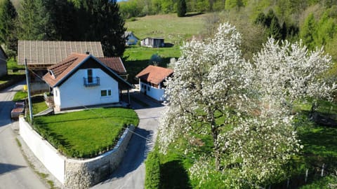 Property building, Day, Natural landscape, Garden, Garden, Street view