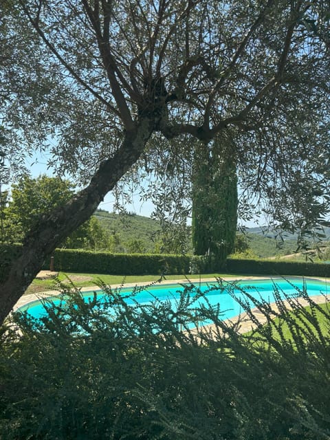 Day, Pool view, Swimming pool, Swimming pool