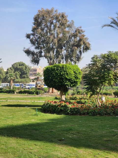 Natural landscape, Garden view