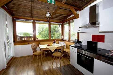 Kitchen or kitchenette, Dining area, oven, stove