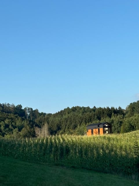 Property building, Natural landscape