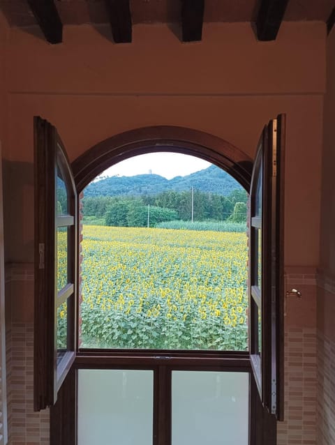 Casale del Sole Farm Stay in Lucca