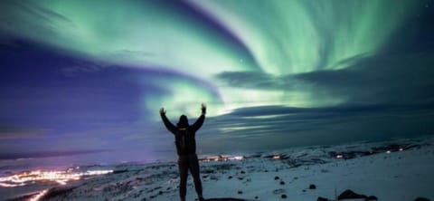 Kroken 3 Apartment in Lofoten