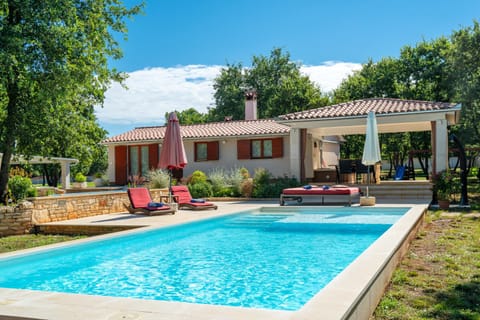 Patio, Garden, Garden view, Pool view, Swimming pool, sunbed