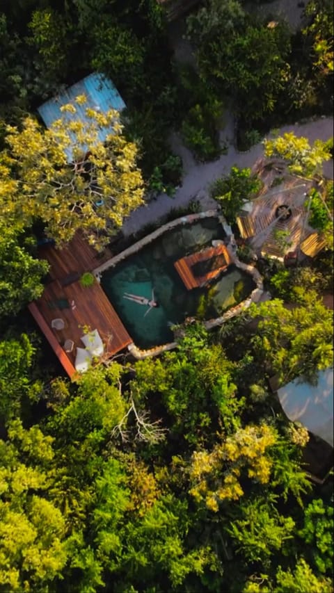 Bird's eye view, Swimming pool, Swimming pool