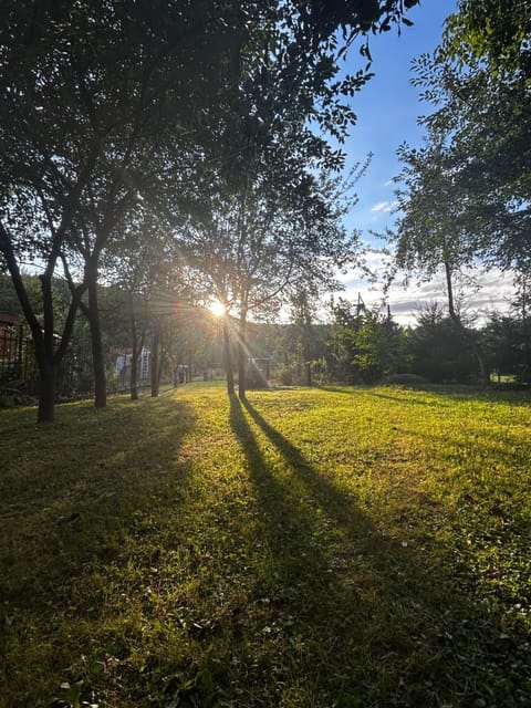 Garden, Garden view, Sunset