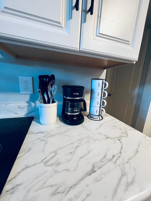 Bright 2BR- Near Busch Gardens & Tampa Fun Apartment in Greater Carrollwood