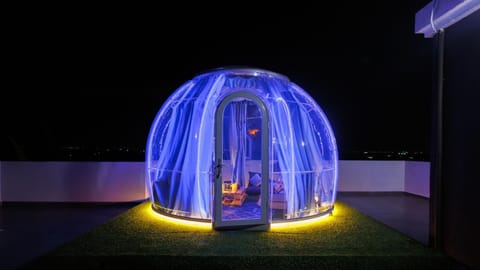 Night, Garden view