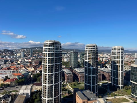 View (from property/room), City view