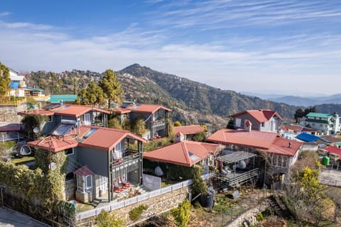 Day, Neighbourhood, Bird's eye view