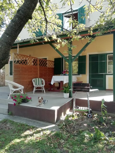 Property building, Garden, Garden view