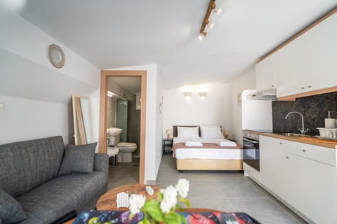 Bed, Kitchen or kitchenette, Living room, Photo of the whole room, Seating area, Dining area, Bedroom