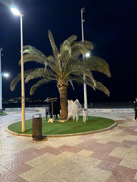 Night, Natural landscape