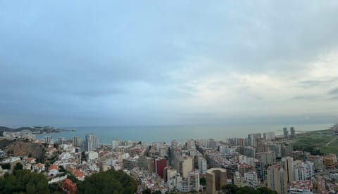 Bird's eye view, City view, Sea view