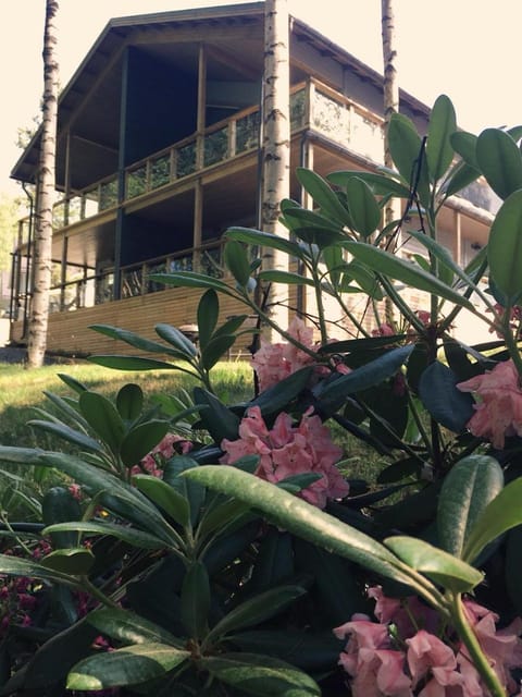 Balcony/Terrace, Photo of the whole room, Dining area