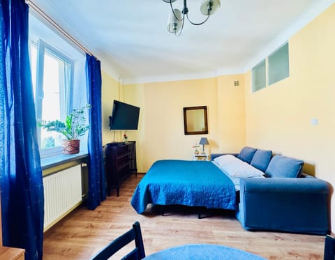 Bed, TV and multimedia, Living room, Photo of the whole room, Seating area, Bedroom