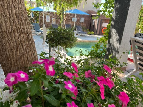 Garden view, Swimming pool