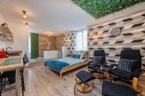 Le scandinave SPA Apartment in Saint-Étienne