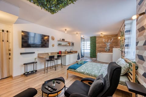 Le scandinave SPA Apartment in Saint-Étienne