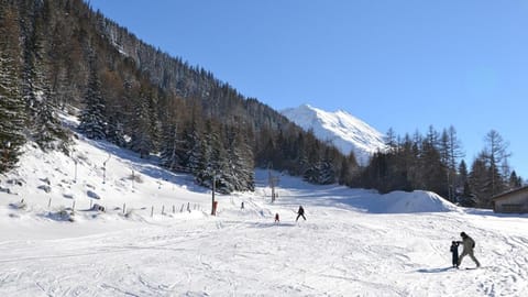 Les Nis Apartment in Bagnes