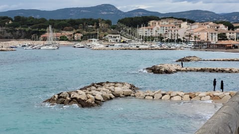 les Marronniers Apartment in Six-Fours-les-Plages