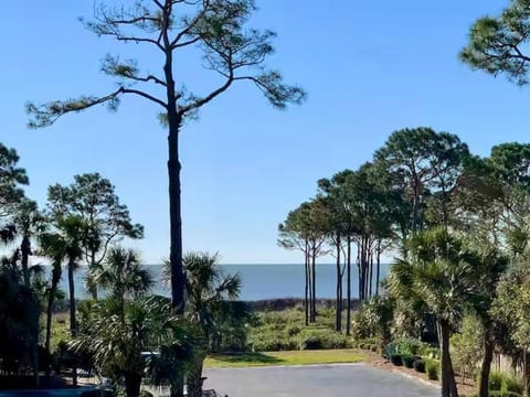 Natural landscape, Sea view