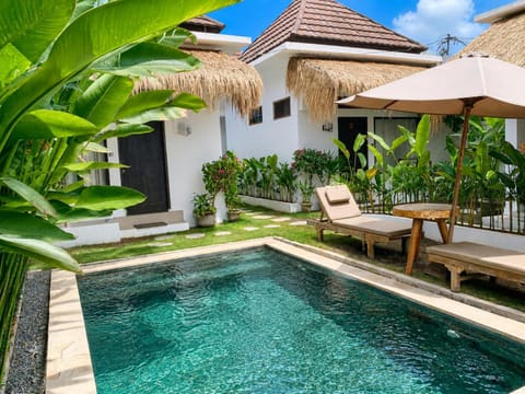 Property building, Patio, Garden, Garden view, Pool view, Swimming pool, sunbed