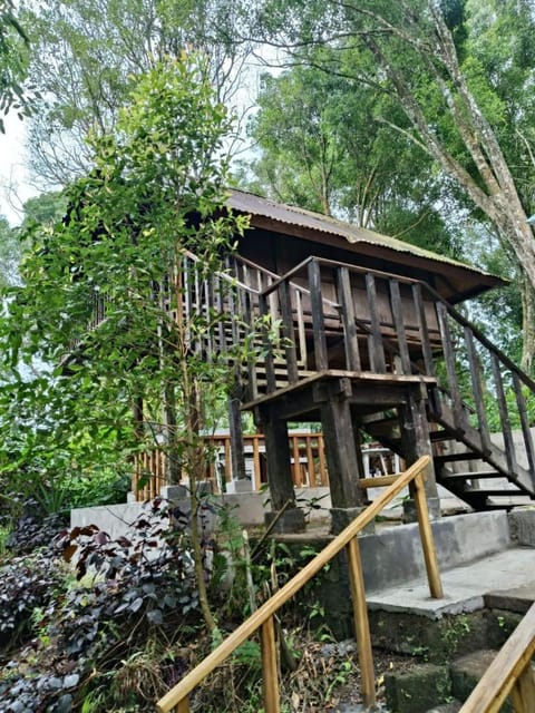 Property building, Natural landscape, Garden view
