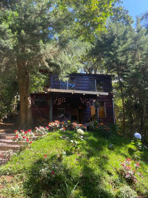 Property building, Garden view