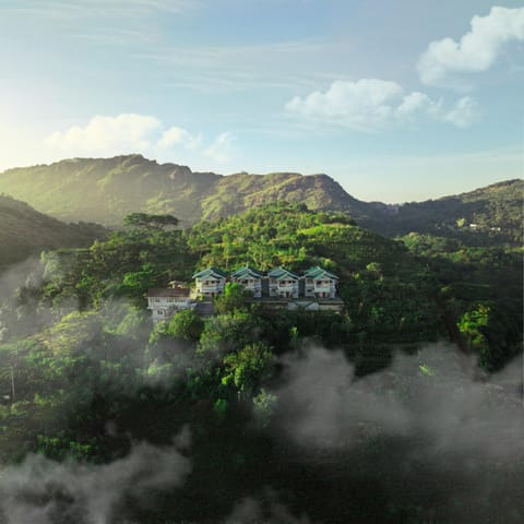 Property building, Bird's eye view