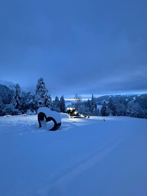 Appartamenti al Parco Apartment in Molveno
